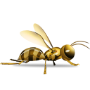 Wasp-icon